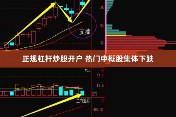 正规杠杆炒股开户 热门中概股集体下跌